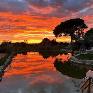  Campo de lujo Oasis Camp Portugal